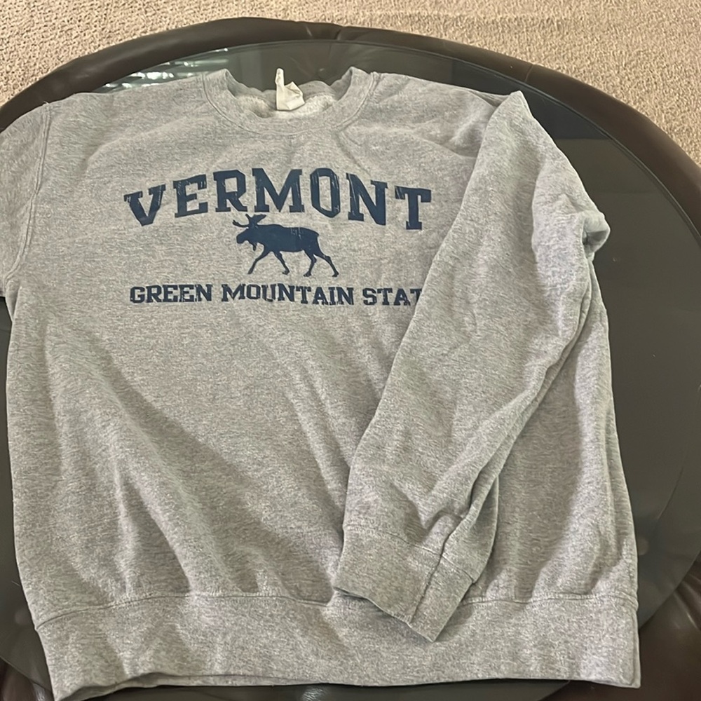 Gildan gray sweatshirt